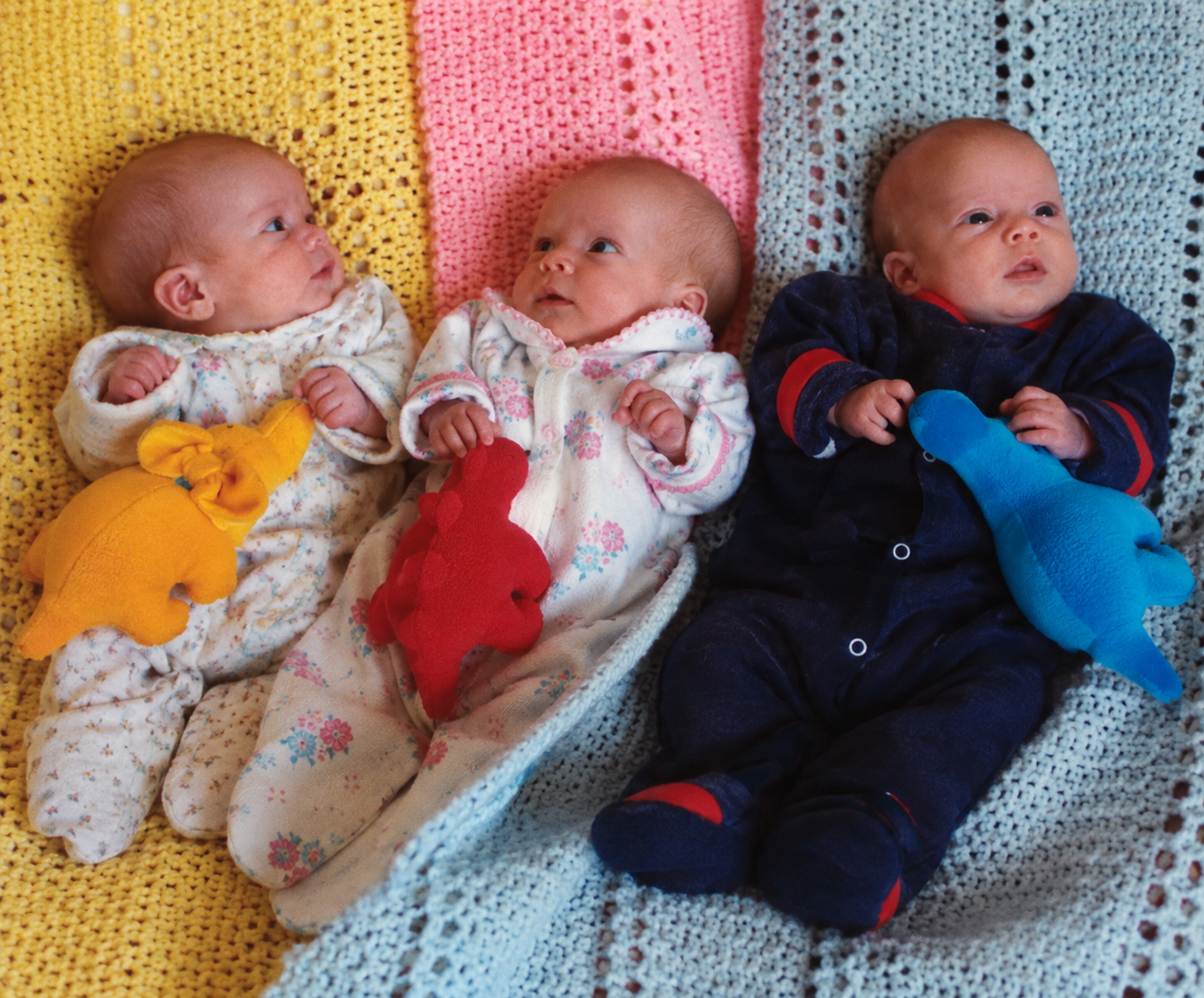 Where It Began - Triplets